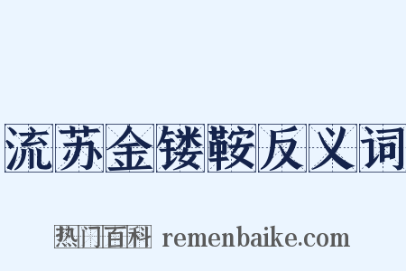 流苏金镂鞍反义词是什么意思的图片